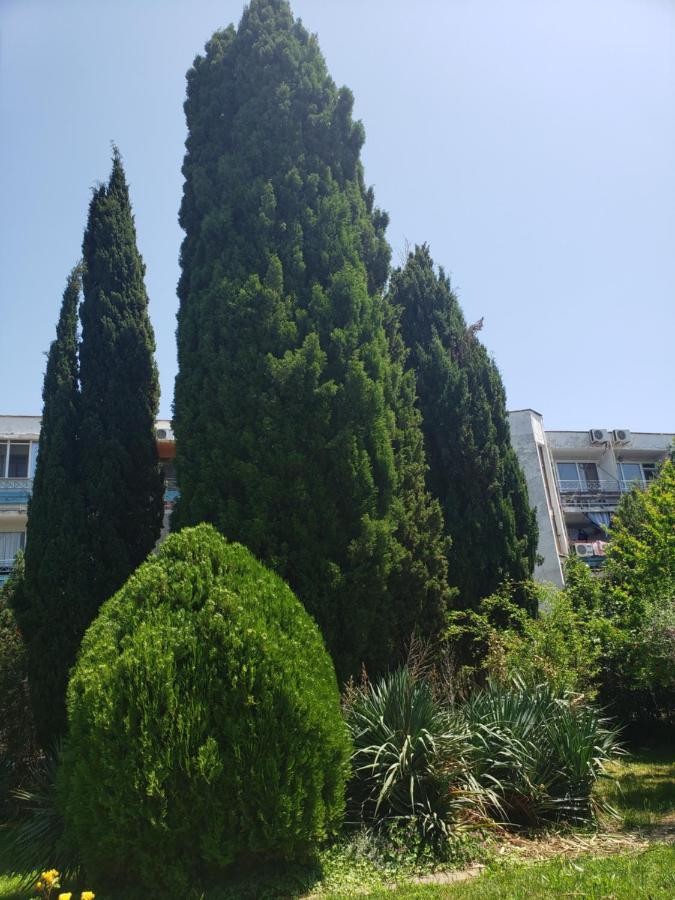 Family Magnolia Hotel Sunny Beach